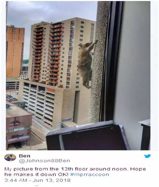 离异夫妻争子 谁更适合担任监护人？截图0