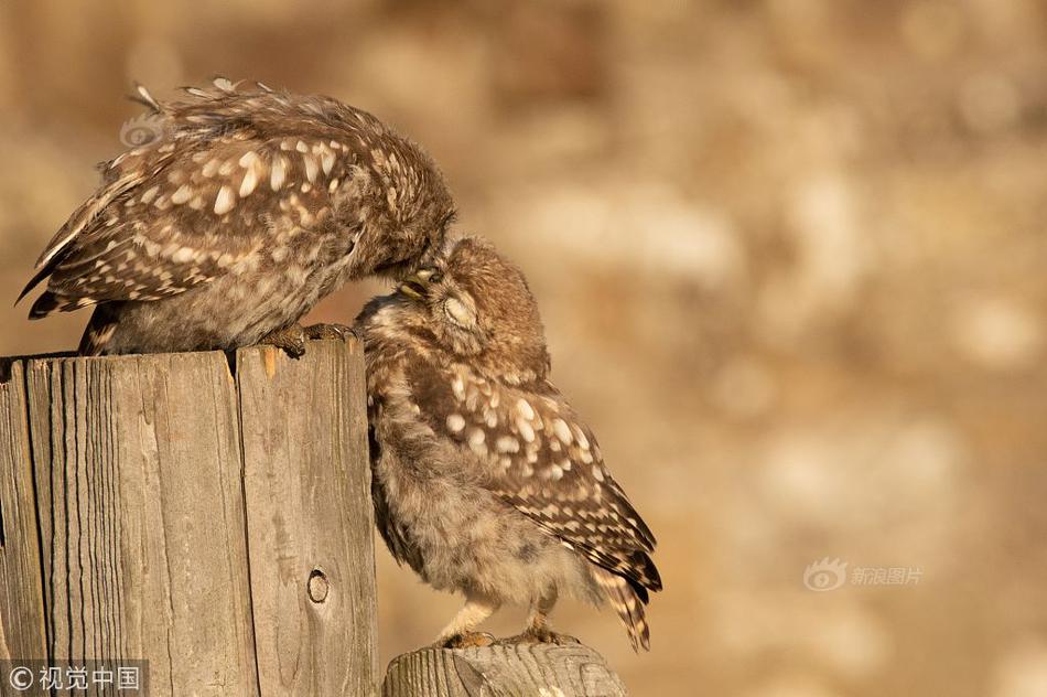 世界赛艇联合会主席参观体育文化“双展”截图3