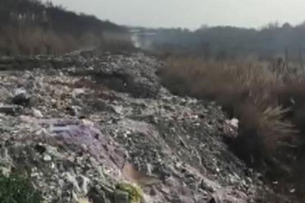 智慧气象筑起“防护网”，果农吃下“定心丸”截图0