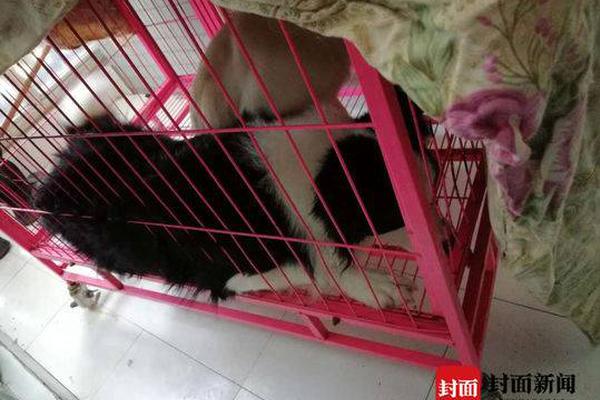 农民歌会暨“四季村歌”汇演在滁州举办截图4